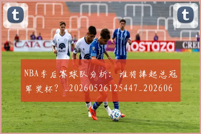 NBA季后赛球队分析:谁将捧起总冠军奖杯?_20260526125447_20260607160207